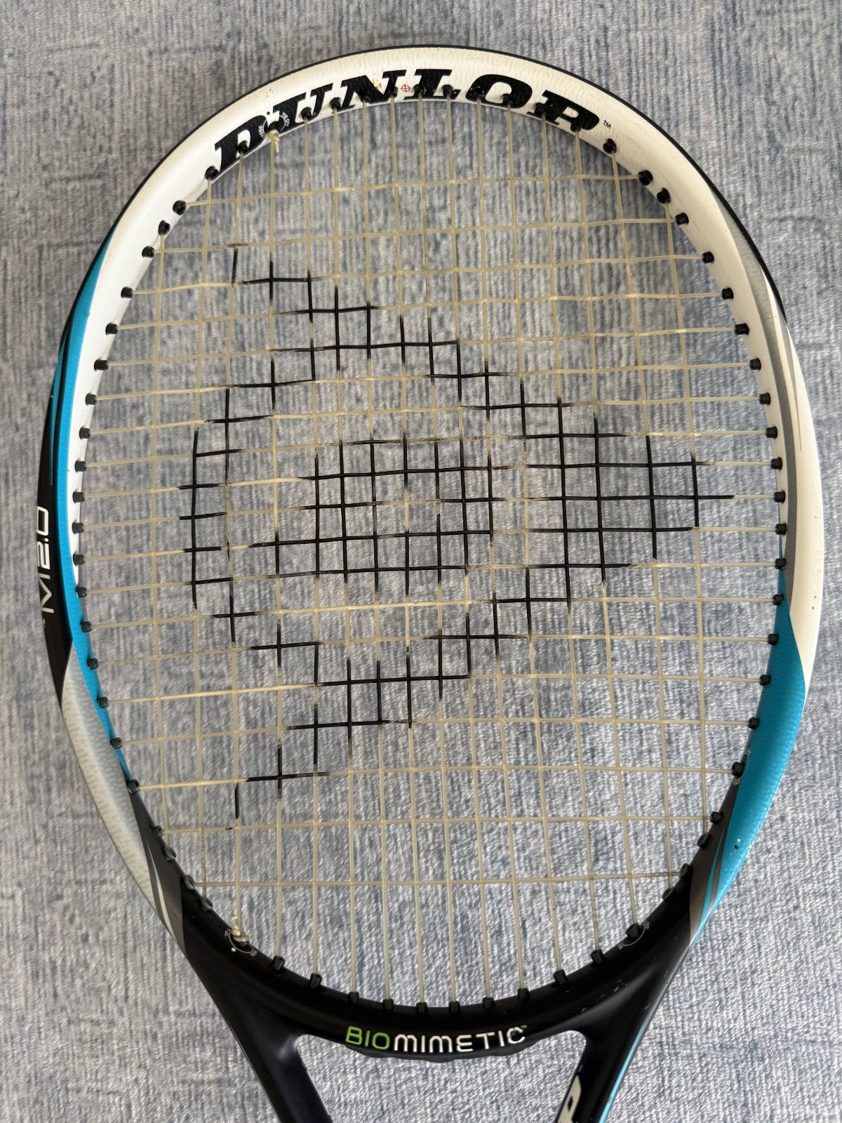 Dunlop Biomimetic M2.0 313g 95sq in Grip 3 Tennis Racket